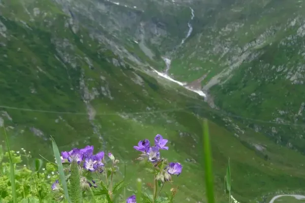 2018-apenx4-368D71F54FB-503C-B13E-72B6-E6357CEE1F45.webp