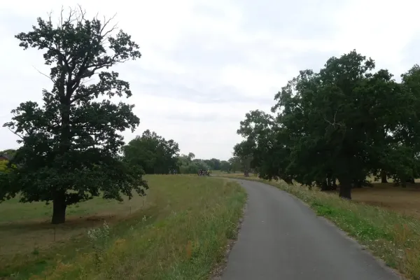 2018-tour25-0684641CB5E-91E7-0262-FEBE-4CE8AD194A11.webp