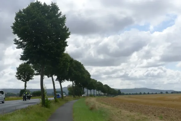2021-tour28-018635B0498-1AD6-5CAC-2B66-9A050009CA92.webp
