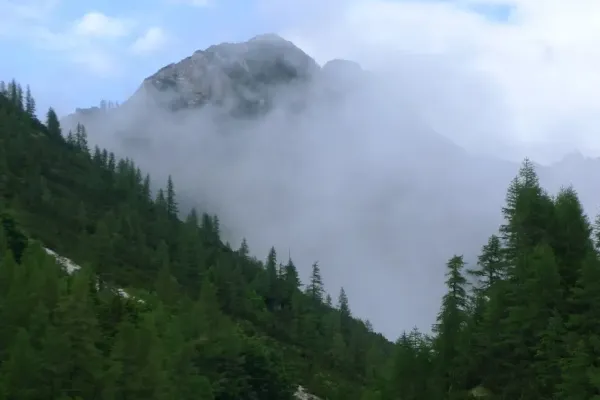 2019-alpenx5-36790425DCF-8411-C0F2-EA0B-3FEFD3AC3DE0.webp