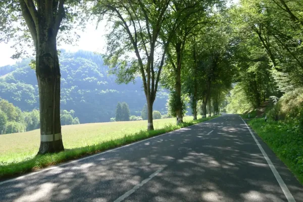 2019-tour26-2111EE69066-E1F7-97DC-3C74-1FBE7602E171.webp