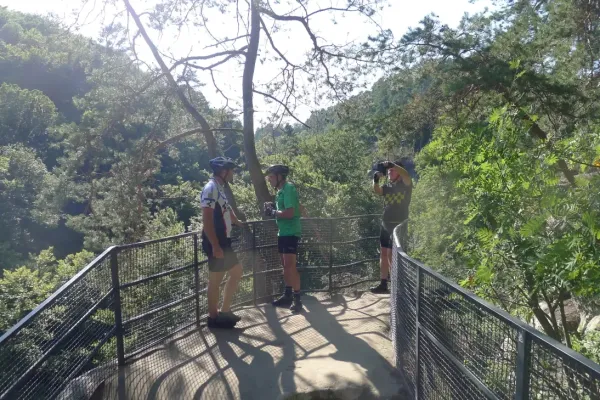 2019-tour26-25376953172-CE41-C7F0-3F0D-7489138D5FE3.webp