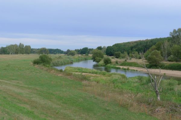 oder-neisse-2020-2354D5D35A7-5129-4622-8C56-CE32AD8B4BD5.jpg