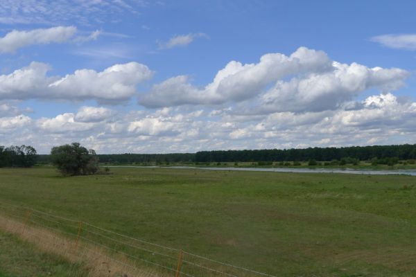 oder-neisse-2020-29216DC9A47-7987-B97D-65BC-5F15CC338C21.jpg