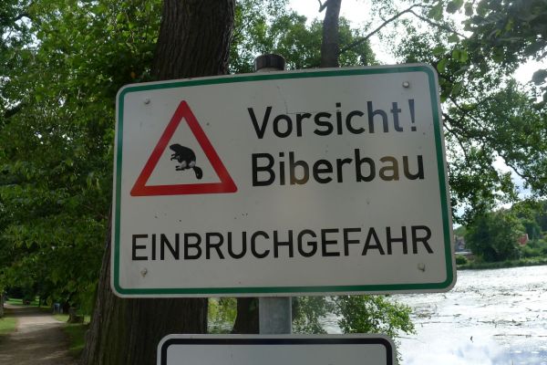 oder-neisse-2020-310B69E7900-E8F7-AD25-8B50-504440B47387.jpg
