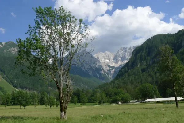 2022-alpenx8-18192D064E6-1320-CD8D-3212-F580A43C3B5F.webp
