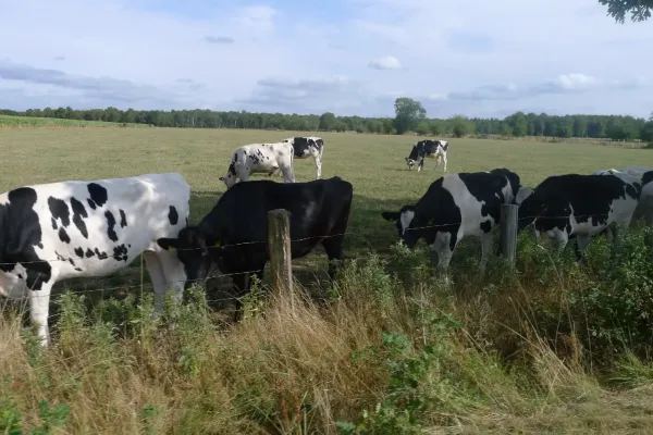 2022-tour29-140364FF603-F240-AD31-FE47-7BD5386A4165.webp