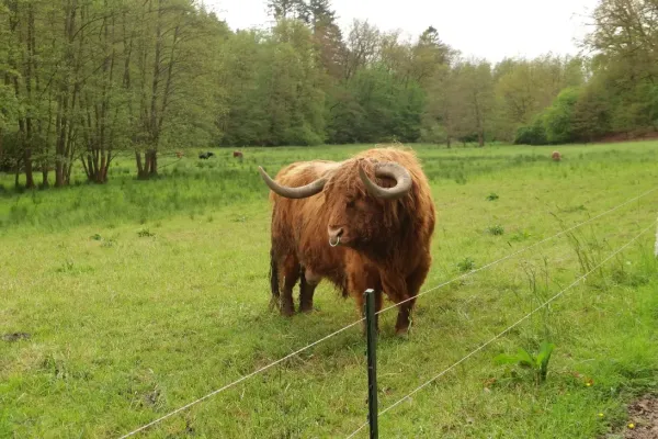 2024-eroeffnungstour-052708E4173-CA90-7A10-71E2-D157F19885B2.webp