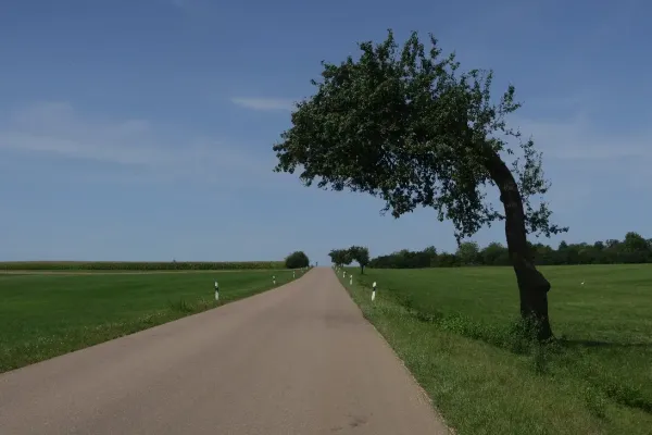 2024-tour-nr-31-040451237FB-550A-8F7C-E0D8-692E6E74C730.webp