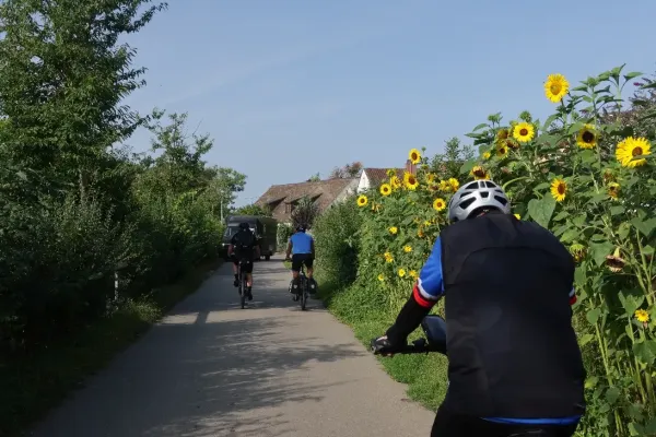 2024-tour-nr-31-075912E4F9F-F04B-A30A-B690-D94580165BFA.webp