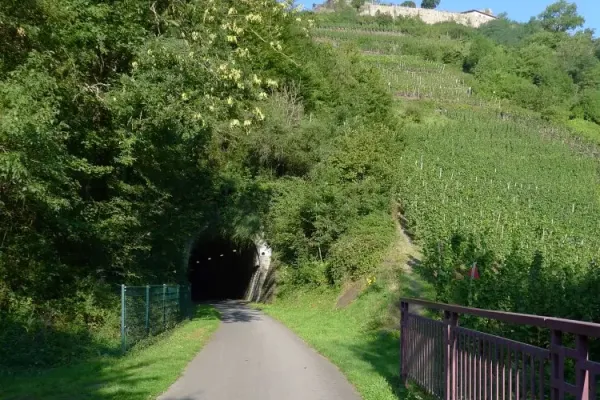 2015-tour22-0280A7E2ABD-E918-B6DE-768A-A7CD74EE697F.webp