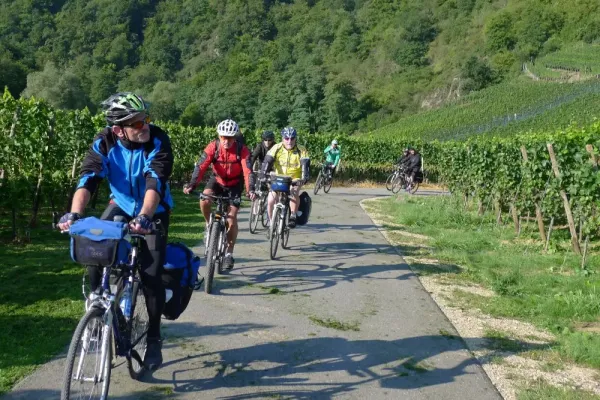 2015-tour22-029BBCA8E83-0726-A2F2-47DA-521DEEDAE333.webp